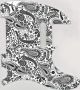 Paisley White/Black - Vintera '60s Tele
