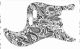 Paisley White/Black