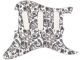 Paisley 2