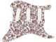 Paisley 4
