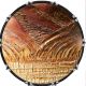 Palm Bark
