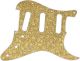 Parchment Flower Pattern - Vintera '60s Strat