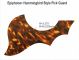 Epiphone Acoustic - Patchy Brown Tortoise Pickguard