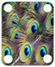 Peacock 2