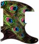 Peacock Feathers 1 - Tele Esquire
