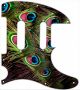 Peacock Feathers 1 - Tele Nashville