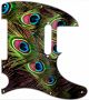 Peacock Feathers 1 - Vintera '60s Tele