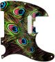 Peacock Feathers 1 - American Elite Tele