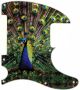 Peacock - Avril Lavigne Tele