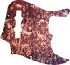 Petroglyphs