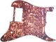 Petroglyphs