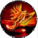 Phoenix 1