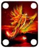 Pheonix 1