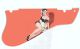 Pin Up Girl 1