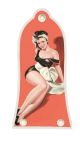 Pin Up Girl 1