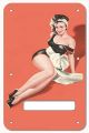 Pin Up Girl 1