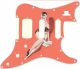 Pin Up Girl 1