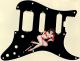 Pin Up Girl 7 Black (SM) - HSS Shawbucker Elite Strat