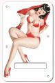 Pin Up Girl 7 WH