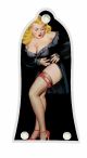 Pin Up Girl Black Negligee BK