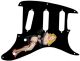 Pin Up Girl Black Negligee BK
