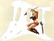 Pin Up Girl Samurai White - SSS Elite Strat