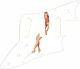 Pin Up Girl Short Shorts WH