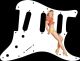 Pin Up Girl Short Shorts WH - Squire SSS Affinity