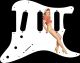 Pin Up Girl Short Shorts WH