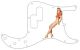 Pin Up Girl Short Shorts WH