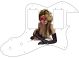 Pin Up Girl Sugar Skull White - Vintera '70s Tele Thinline