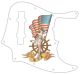Pin Up Girl USA Patriot WH