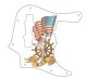 Pin Up Girl USA Patriot WH