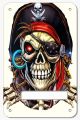 Pirate 1 AW