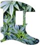 Pot Growth
