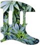 Pot Growth
