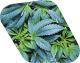 Pot Growth