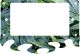 Pot Growth