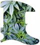 Pot Growth - Avril Lavigne Tele