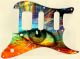 Psychedelic Eye