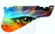 Psychedelic Eye