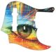Psychedelic Eye