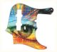 Psychedelic Eye