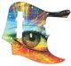 Psychedelic Eye