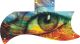 Psychedelic Eye