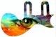 Psychedelic Eye