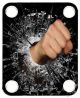 Punch Glass