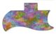 Rainbow Blot