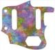 Rainbow Blot