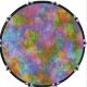 Rainbow Blot